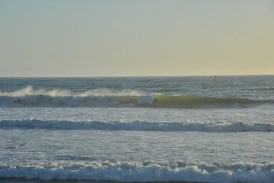 DSC_7245 (Large).JPG